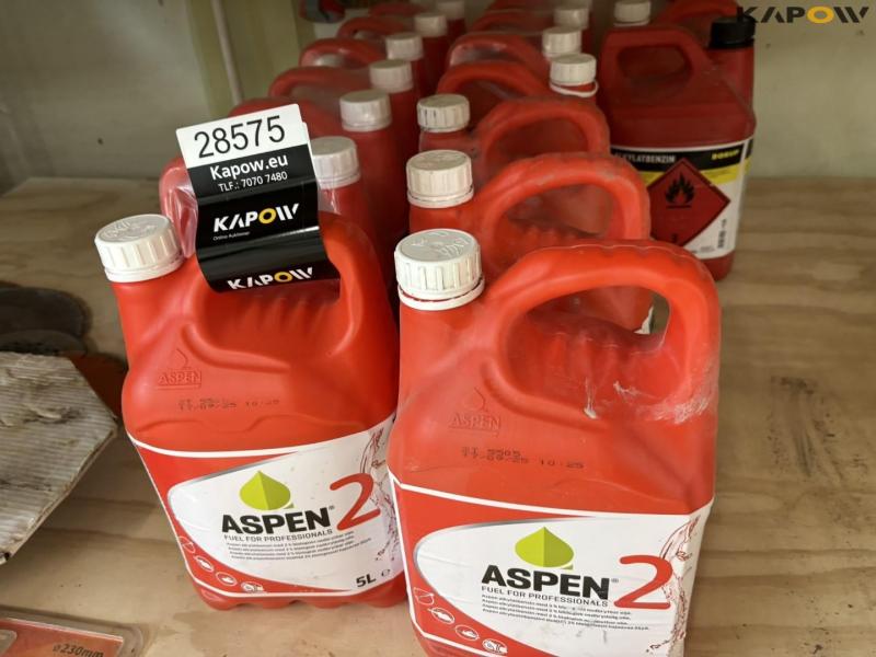 Apsen 2-stroke gasoline 5