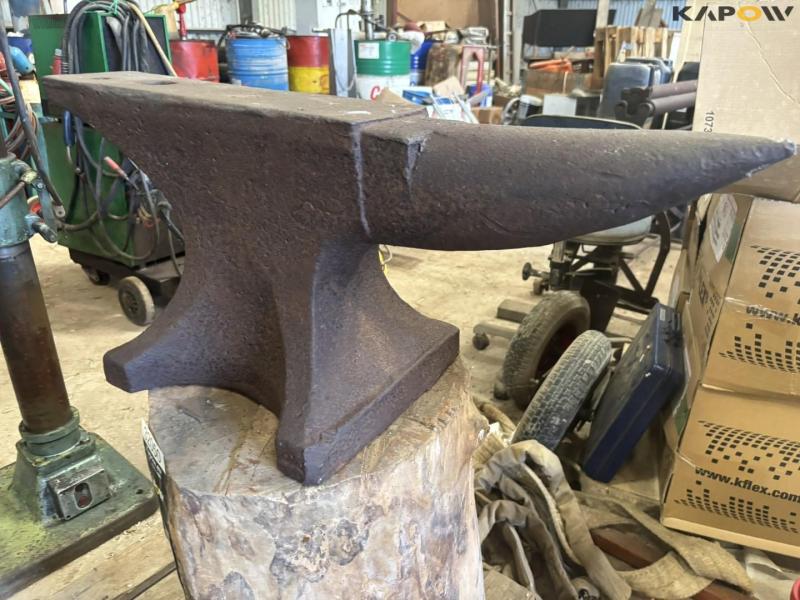 Arm bolt on tree stump 5