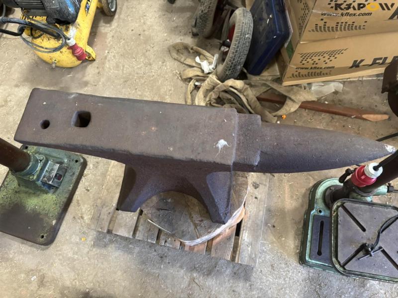 Arm bolt on tree stump 6