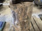 Arm bolt on tree stump 10