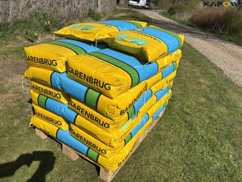 Barenburg standard lawn grass 3