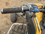 Can-am ATV 8