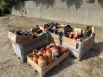 Drain couplings 1