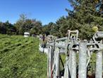 Feed fence with catch grid 21