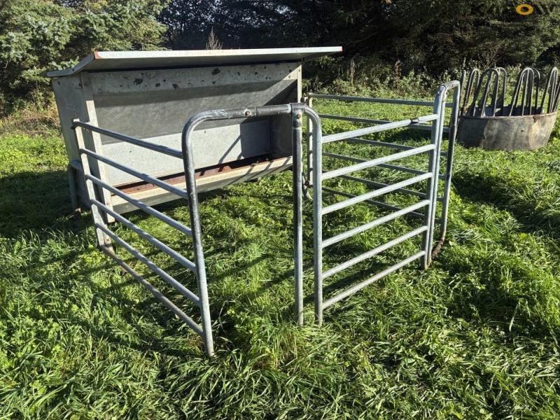 Feed fence with calf shelter 3