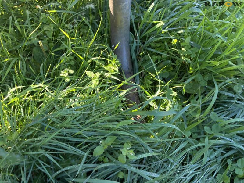 Feed fence with calf shelter 31