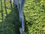 Feed fence 18