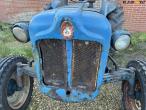 Fordson Dexta diesel tractor 9