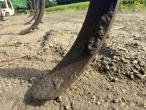 Fraugde 17 tooth stubble harrow 22