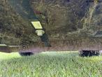 Gravely Promaster 400 rotary mower 17
