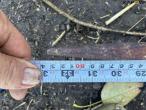Straw handle for three-point hitch 13