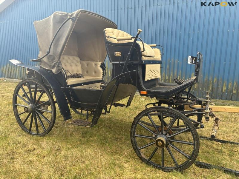 Horse-drawn carriage for two horses 2