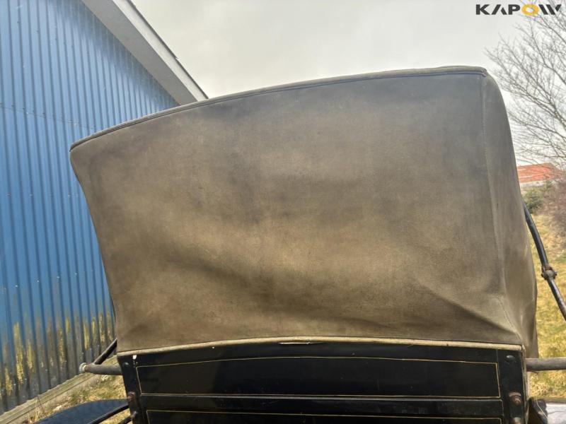 Horse-drawn carriage for two horses 15