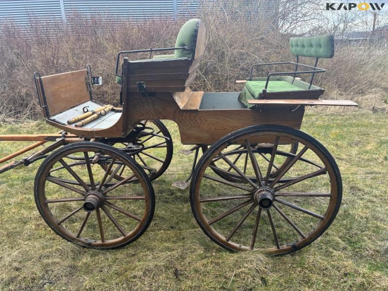 Horse-drawn carriage 6