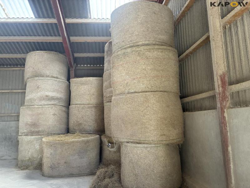 Hay round bales 3