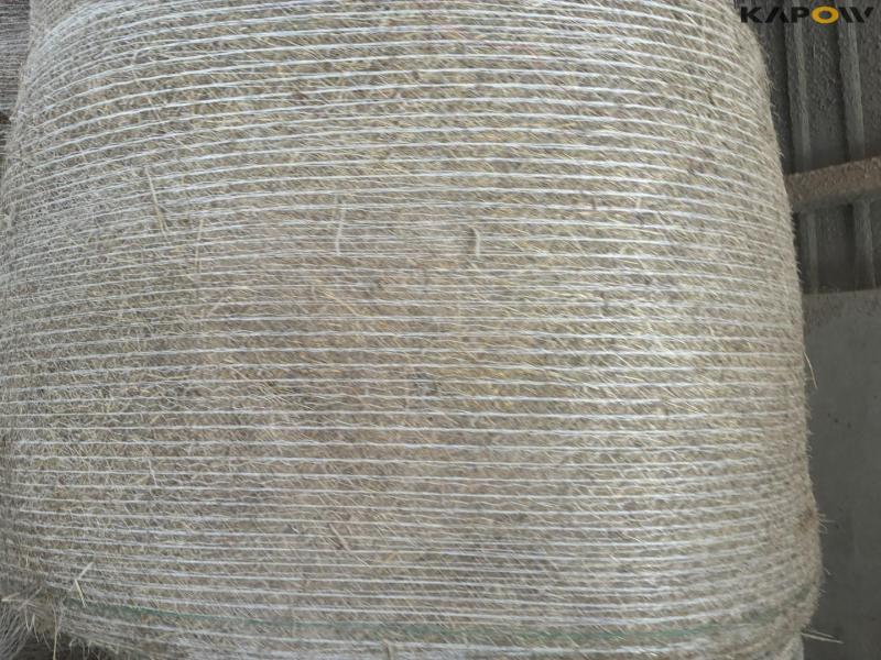 Hay round bales 4