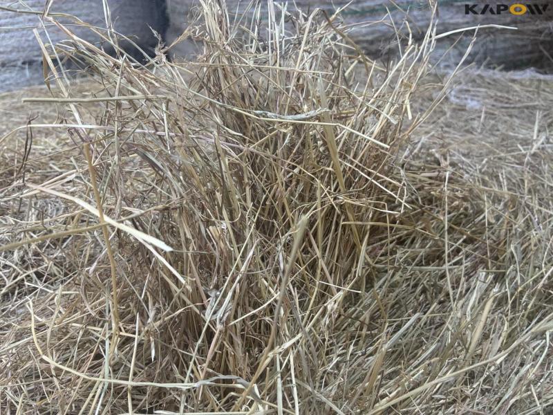 Hay round bales 6