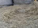 Hay round bales 7
