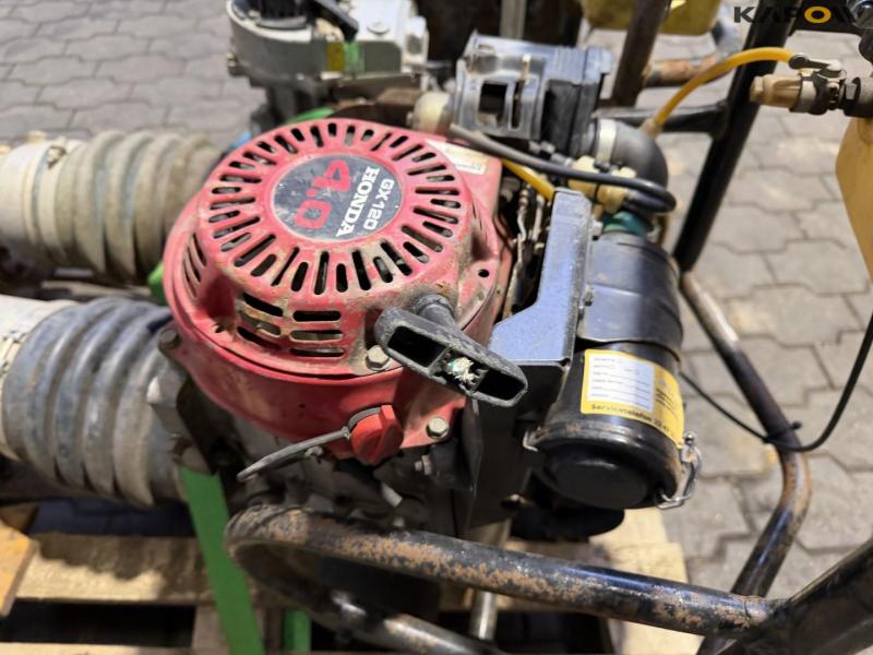 Earthworm - 2pcs. 12