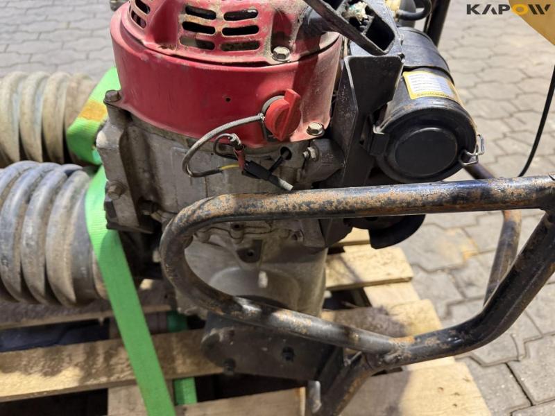 Earthworm - 2pcs. 13