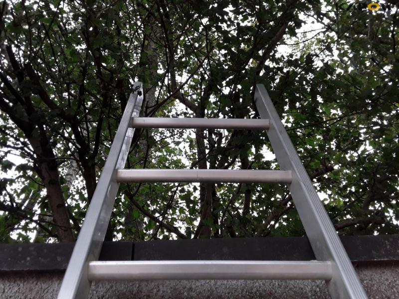 Jumbo ladders - many models 15