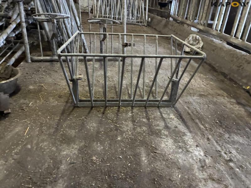 Wall-mounted calf boxes 3