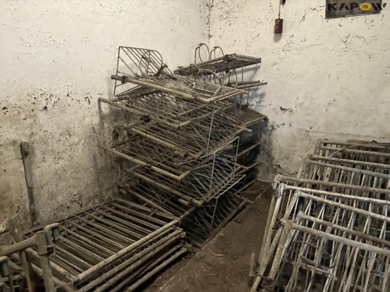 Wall-mounted calf boxes 20