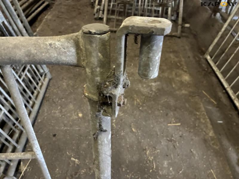 Wall-mounted calf boxes 25