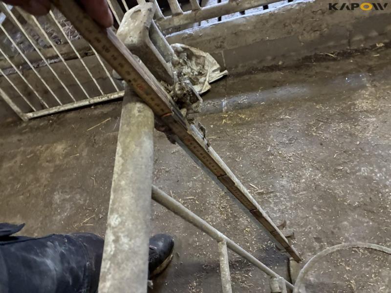 Wall-mounted calf boxes 33