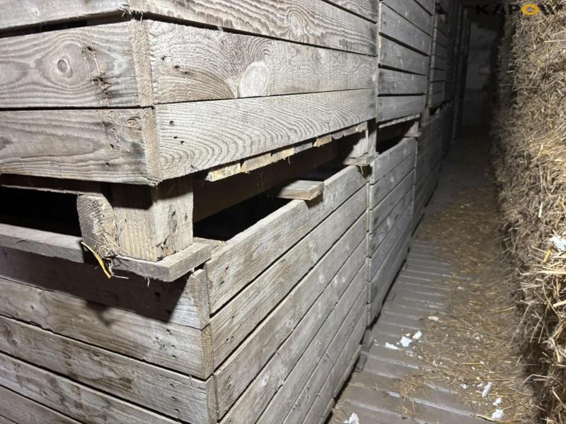 Potato boxes 3