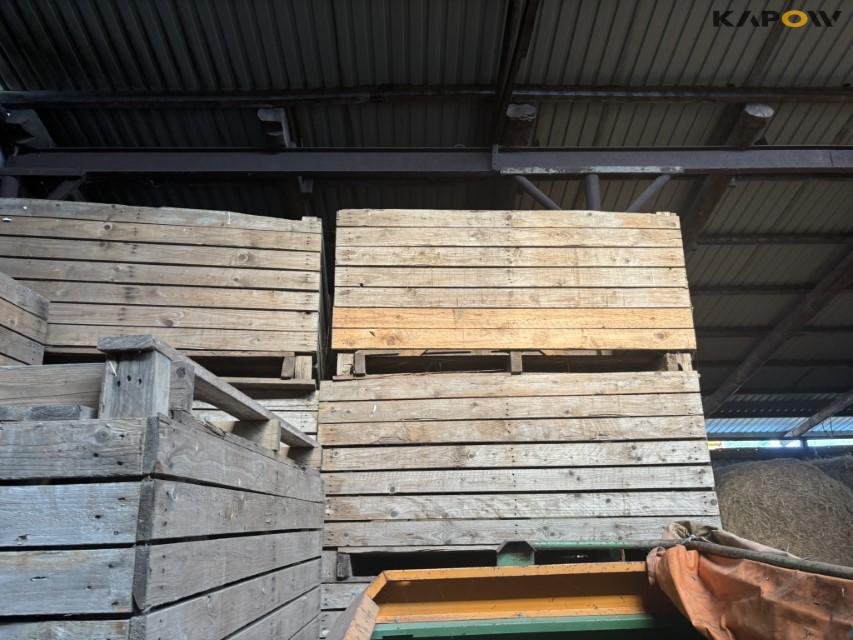 Potato boxes 5
