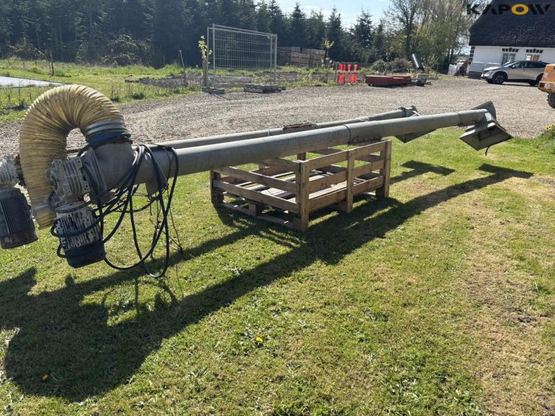 Corn snails - 2 pcs. 4