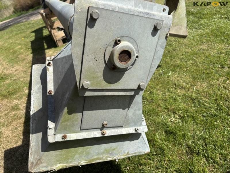 Corn snails - 2 pcs. 10