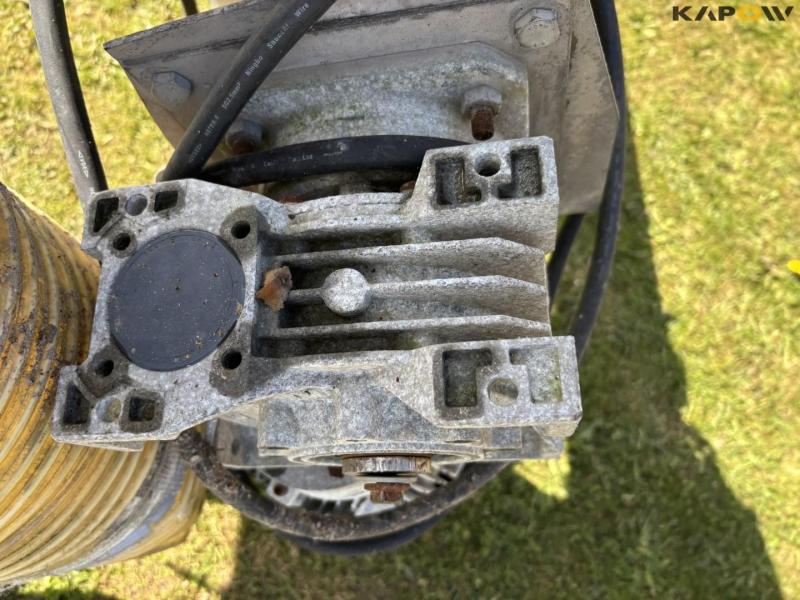 Corn snails - 2 pcs. 22