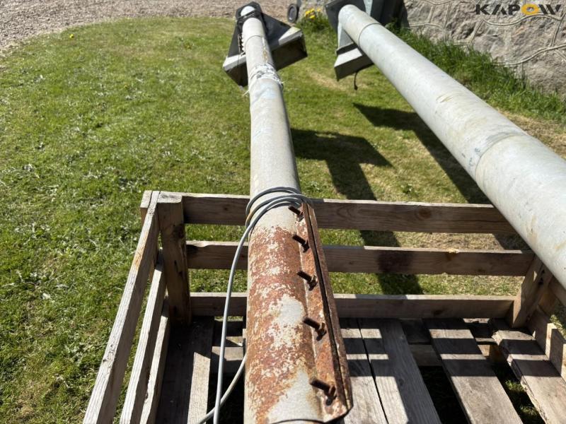 Corn snails - 2 pcs. 37