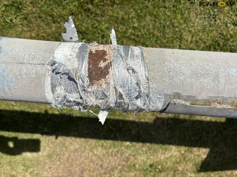 Corn snails - 2 pcs. 39