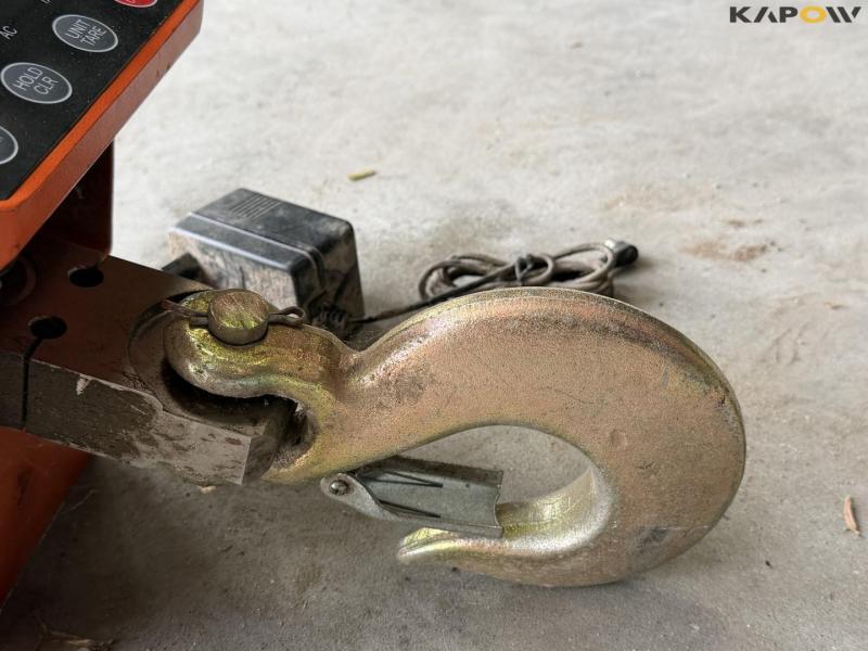 Crane weight 9