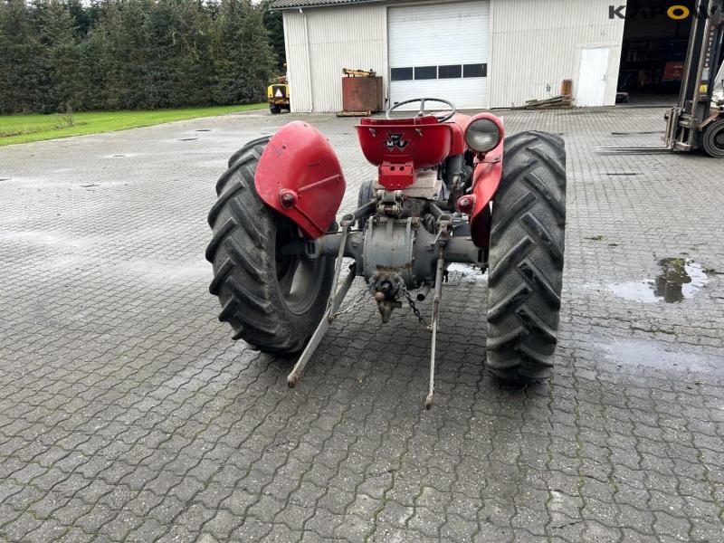 Massey Ferguson 35 Petrol 7
