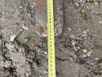 Pallet forks 9