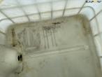 Pallet tank 1000 liters - 3 pcs. 25