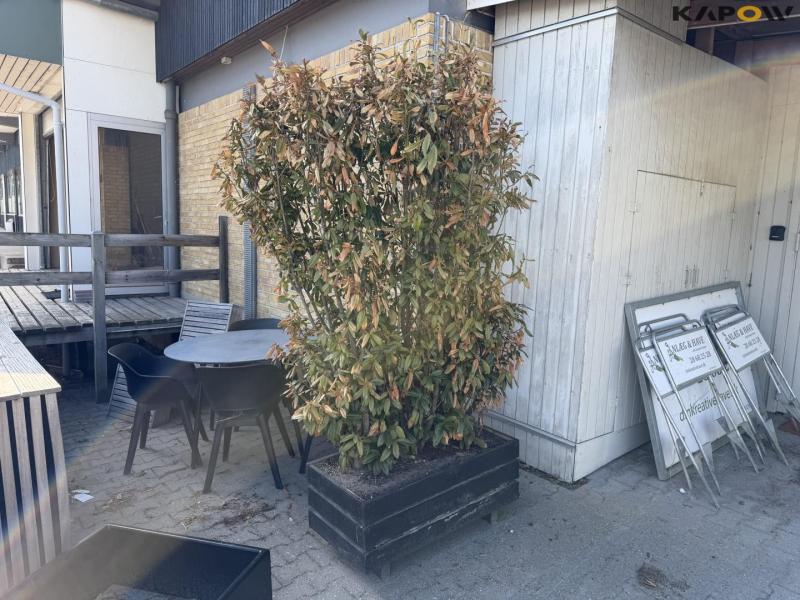 Plant boxes - 4pcs. 6