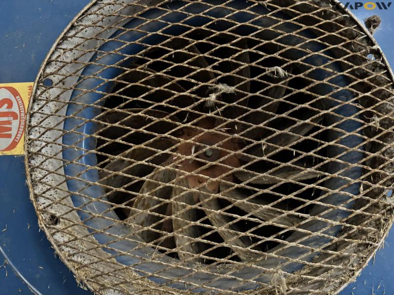 Plant drying plant 8