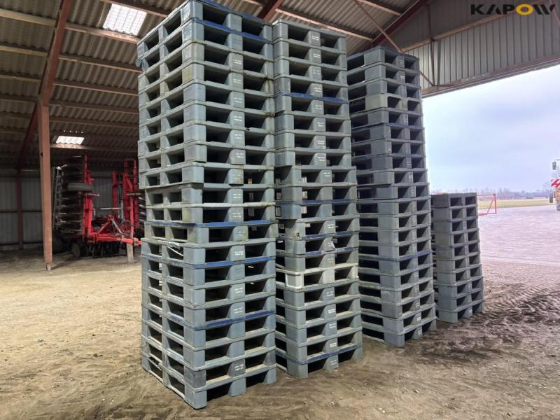 Plastic pallets 5