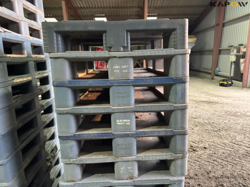 Plastic pallets 13