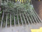 Grater shovel 130 cm 13