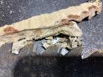 Circular saw blades 10