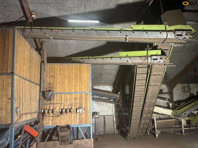 Peeling potato sorting machine 51