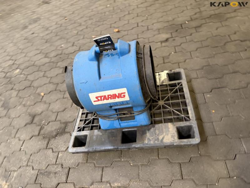 Staring fan 6