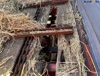 Strautmann Vitesse 230 DO forage wagon 48