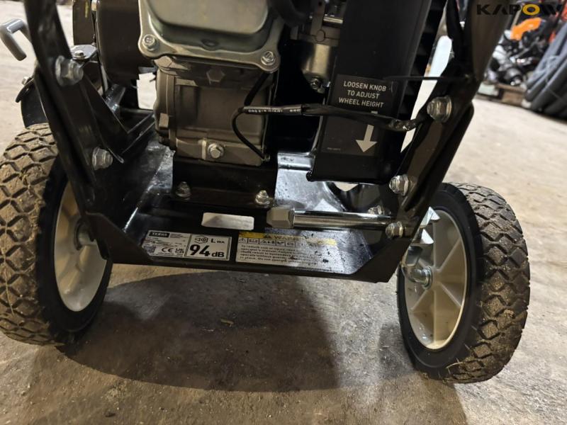 Texas EC7900 edger 19